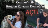 Ceyhan’da ilk Ceyhan’da Hayvanları Kuruma Derneği Kuruldu.