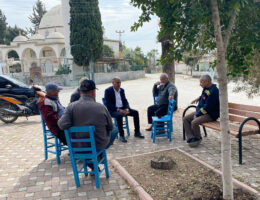 “Yumurtalık artık dinamik bir yapıya sahip”